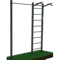 Турнік подвійний+шведська стінка для вулиці